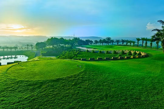 Ảnh minh họa (Nguồn: Internet)