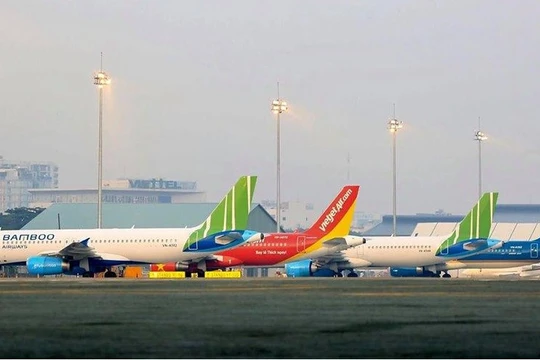 Ảnh minh họa (Nguồn: Internet)