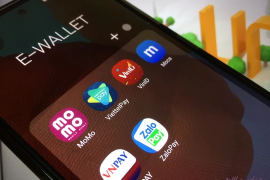 Ảnh minh họa (Nguồn: Internet)