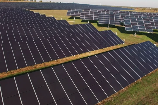 Ảnh minh hoạ (Nguồn: Internet)