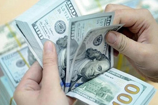 Ảnh minh họa (Nguồn: Internet)