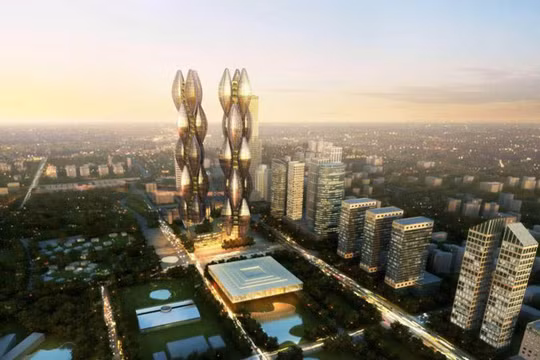 Ảnh minh họa (Nguồn: Internet)