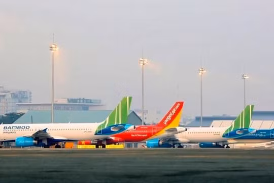 Ảnh minh họa (Nguồn: Internet)