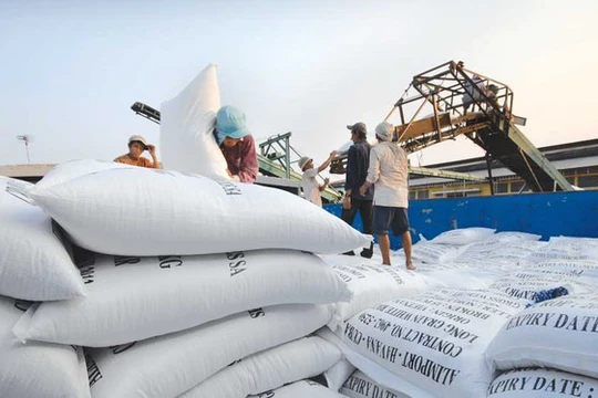 Ảnh minh họa (Nguồn: Internet)