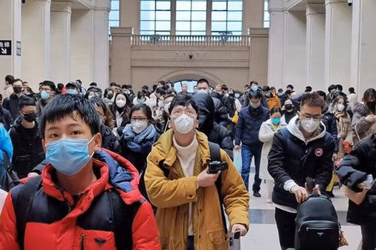 Ảnh minh họa (Nguồn: Internet)