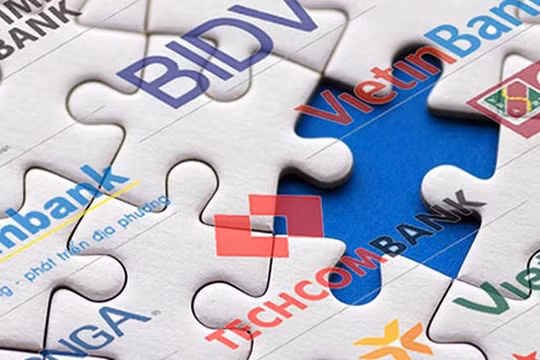 Ảnh minh họa (Nguồn: Internet)