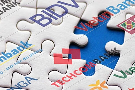 Ảnh minh họa (Nguồn: Internet)