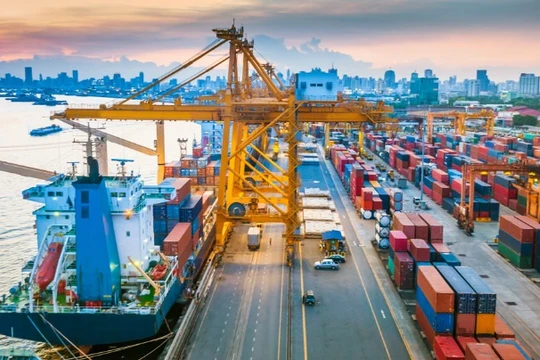 Ảnh minh họa (Nguồn: Internet)