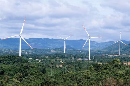 Dự án điện gió Hướng Linh 2 do Tân Hoàn Cầu làm chủ đầu tư (Ảnh: Internet)