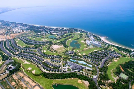 Ảnh minh hoạ (Nguồn: Internet)