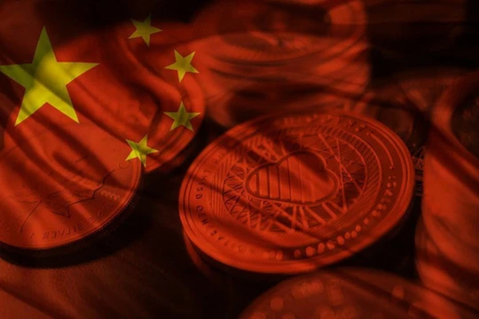 Ảnh minh họa (Nguồn: Internet)