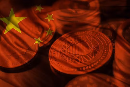 Ảnh minh họa (Nguồn: Internet)