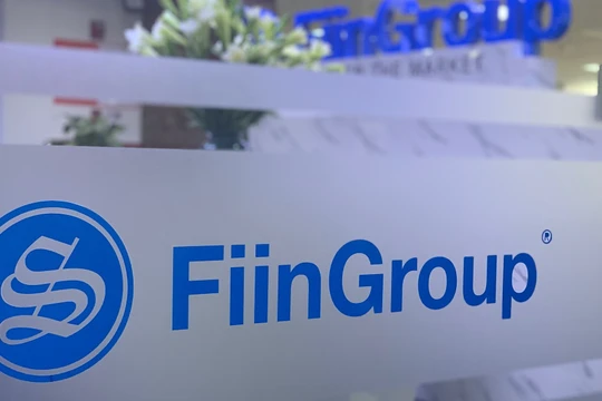 Ảnh minh họa (Nguồn: FiinGroup)