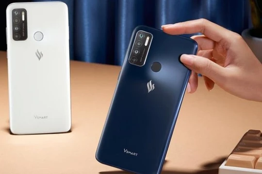 Ảnh minh họa (Nguồn: Internet)