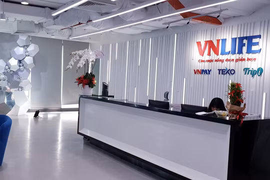 VNLife, VNPay đáng giá bao nhiêu? (Ảnh: Internet)