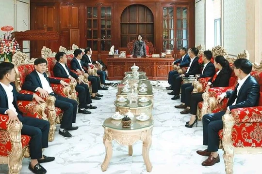 Tập đoàn Thiên Minh Đức của nữ đại gia Chu Thị Thành lớn cỡ nào? (Nguồn: TMD Group)