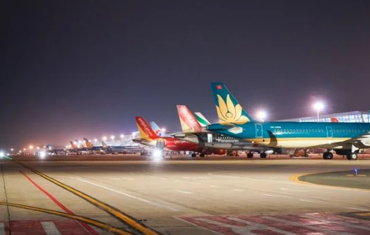 Ảnh minh họa (Nguồn: Internet)