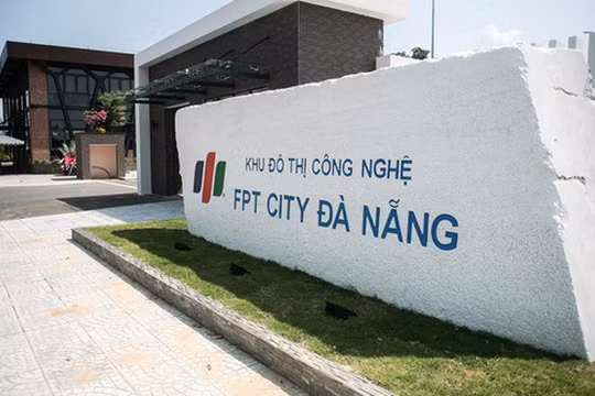 Ảnh minh họa (Nguồn: Internet)