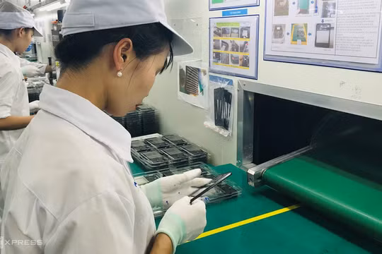 Công nhân sản xuất vỏ màn hình điện thoại tại một doanh nghiệp công nghiệp hỗ trợ ở Hải Dương. Ảnh: Thu Nguyễn.