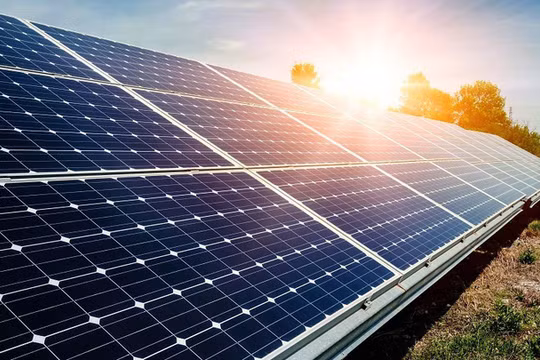 Ảnh minh họa (Nguồn: Internet)