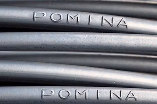 Trước khi "bắt tay" Vingroup, Pomina làm ăn bết bát, lỗ lũy kế hơn 3.000 tỷ đồng