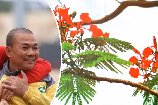 Ông Phạm Anh Tuấn được bổ nhiệm làm HLV trưởng Hải Phòng. Ảnh AT
