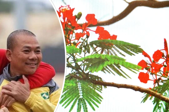 Ông Phạm Anh Tuấn được bổ nhiệm làm HLV trưởng Hải Phòng. Ảnh AT