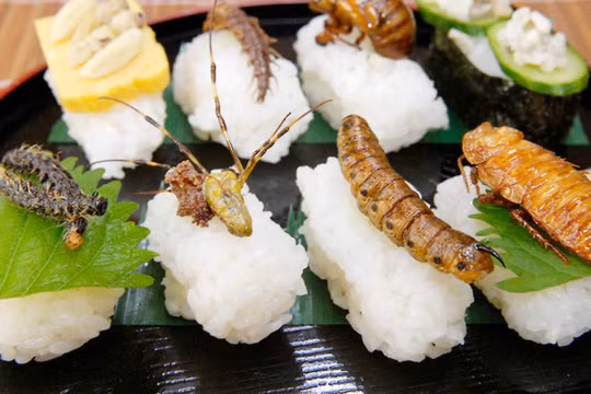 Côn trùng đang trở thành đặc sản tại Thái Lan. Ảnh: CNA