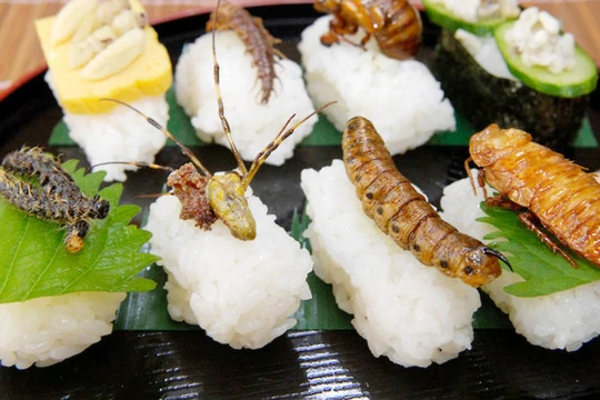 Côn trùng đang trở thành đặc sản tại Thái Lan. Ảnh: CNA