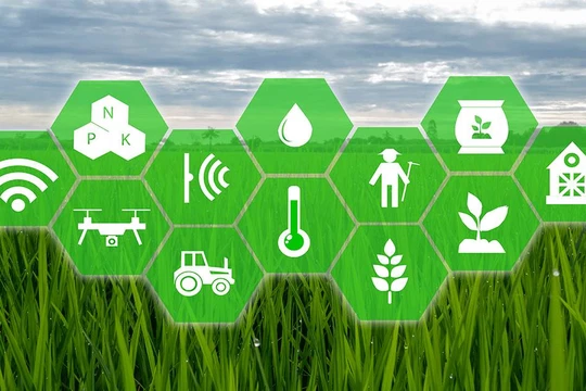 (ảnh minh họa: Forbes)