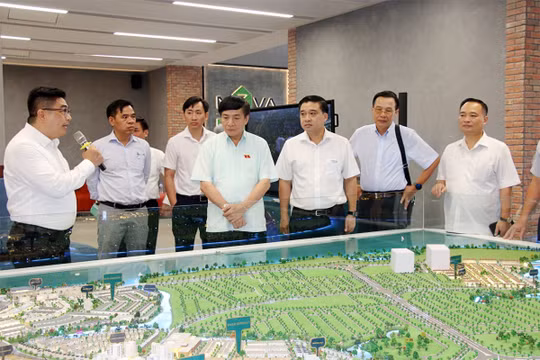 Tổng Thư ký Quốc hội, Chủ nhiệm Văn phòng Quốc hội Bùi Văn Cường khảo sát thực tế tại Dự án Khu đô thị Aquacity của Novaland ngày 9/7. Ảnh: Quochoi.vn.