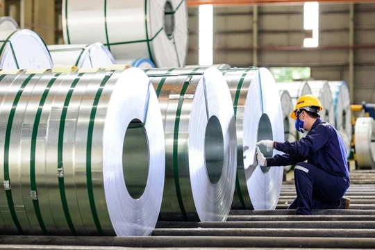 Hoa Sen bất ngờ báo lãi vượt xa kế hoạch 80%