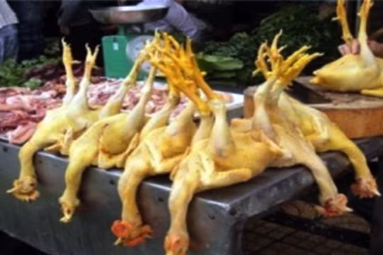 Sản phẩm giết mổ vi phạm