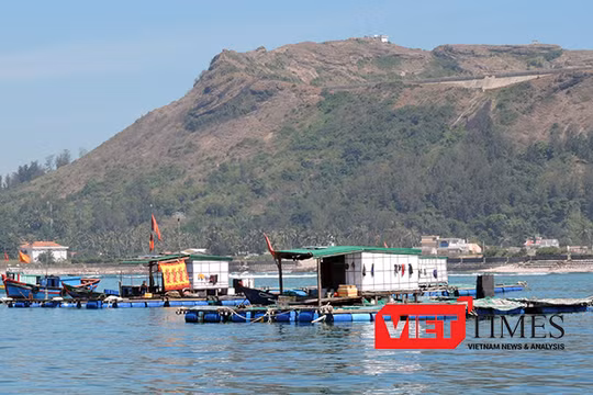 Trước thông tin cá nuôi lồng bè của một số hộ dân đảo Lý Sơn chết bất thường là do bị đầu độc phát tán, UBND huyện Lý Sơn chỉ đạo cơ quan công an vào cuộc