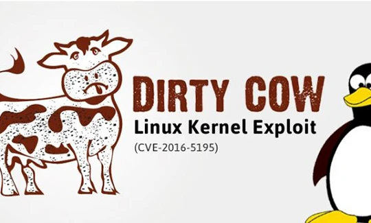 Lỗ hổng "con bò dơ bẩn" đang đe dọa hơn 5000 hệ thống máy chủ tại Việt Nam. - Ảnh: The Hacker News