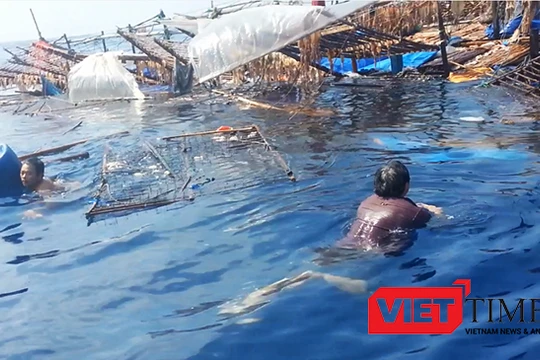 Tàu cá ngư dân Việt Nam liên tục bị tàu nước ngoài đâm chìm trên biển khi đang hoạt động đánh bắt hợp pháp