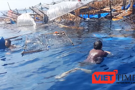 Tàu cá ngư dân Việt Nam liên tục bị tàu nước ngoài đâm chìm trên biển khi đang hoạt động đánh bắt hợp pháp