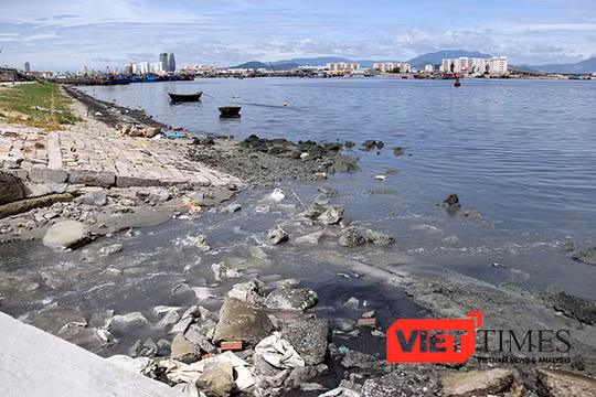 Tình trạng ô nhiễm tại Âu thuyền Thọ Quang đang diễn biến xấu