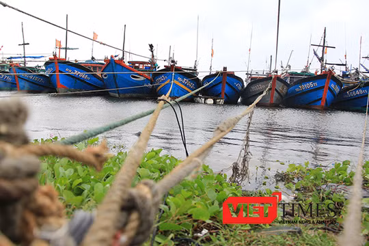 Tính đến thời điểm hiện tại, Đà Nẵng đã có hơn 1.700 phương tiện/6.500 lao động của các tỉnh đã vào neo đậu tại bờ.