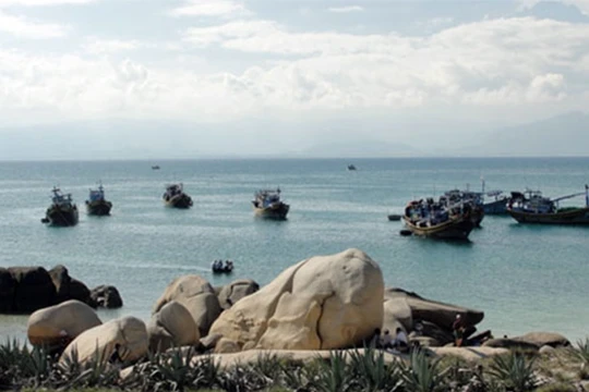Một góc Khu bảo tồn biển Hòn Cau (huyện Tuy Phong, Bình Thuận) 