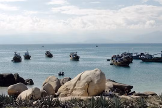 Một góc Khu bảo tồn biển Hòn Cau (huyện Tuy Phong, Bình Thuận) 