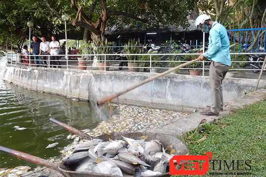 Sau khi tình trạng cá chết liên tiếp xảy ra tại hồ Công viên 29/3, UBND TP Đà Nẵng đã phê duyệt kinh phí hơn 15,3 tỷ đồng nạo vét bùn đối với hồ này.