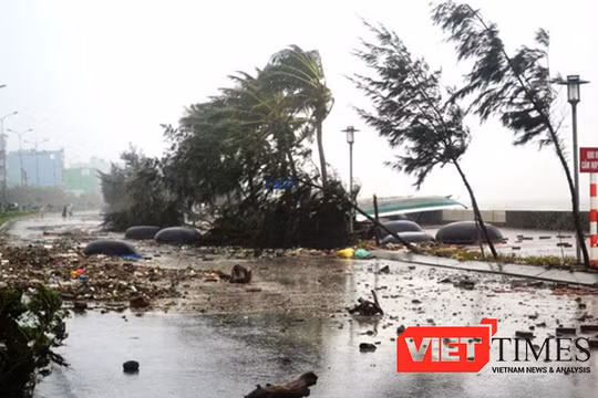 Đà Nẵng đầu tư hơn 200 tỷ đồng đầu tư đê, kè biển chống xâm thực cuối tuyền đường Nguyễn Tất Thành