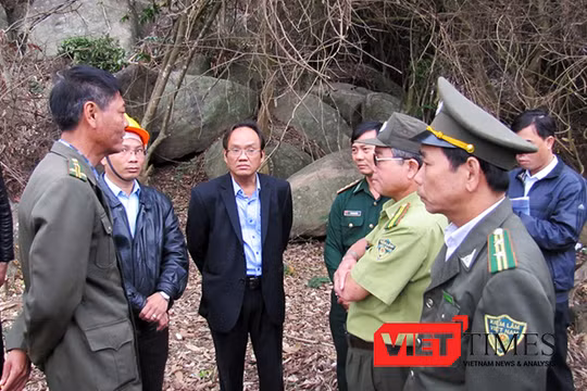 Cơ quan chức năng Đà Nẵng lại phát hiện thêm một vụ phá rừng nghiêm trọng tại Khu bảo tồn thiên nhiên Sơn Trà