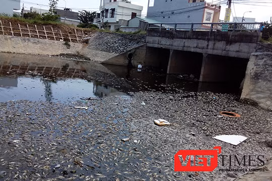 Kênh Đa Cô, nơi xảy ra hiện tượng cá chết hàng loạt