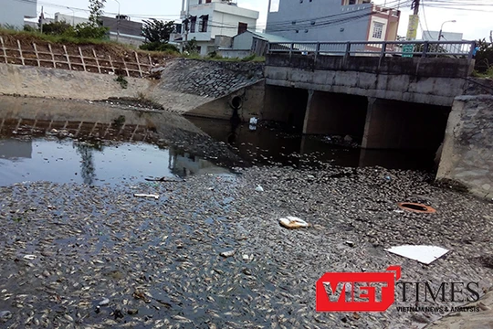 Kênh Đa Cô, nơi xảy ra hiện tượng cá chết hàng loạt