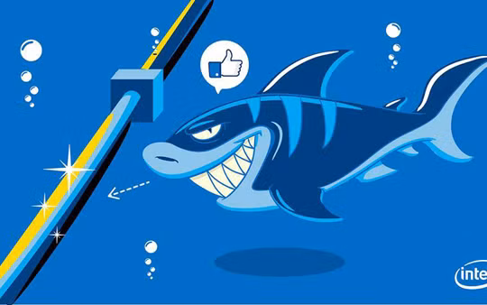 Cá mập rất hiếm khi cắn cáp quang biển. Ảnh minh họa