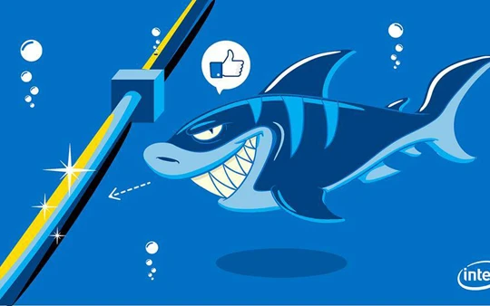 Cá mập rất hiếm khi cắn cáp quang biển. Ảnh minh họa