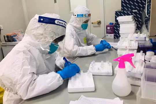 Nhân viên y tế làm việc trong phòng xét nghiệm (Ảnh - BYT) 