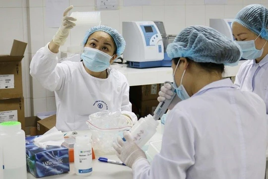 Nhân viên y tế làm việc trong phòng xét nghiệm (Ảnh - Ngọc Nga)
